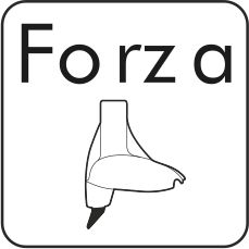 Forza disk